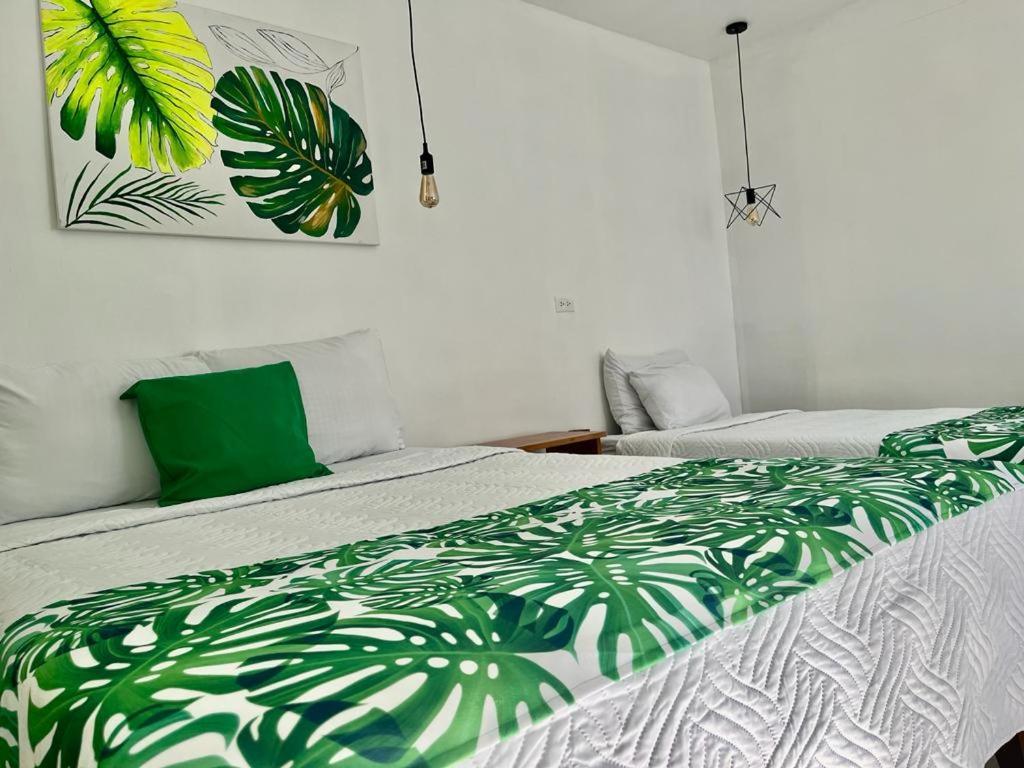 Freddy'S Place B&B Monteverde ภายนอก รูปภาพ