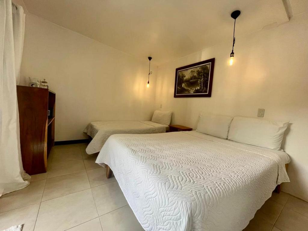 Freddy'S Place B&B Monteverde ภายนอก รูปภาพ